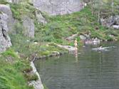 145_4525.JPG